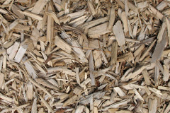 biomass boilers Marshalswick